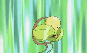 There's no denying Bellsprout is fabulous